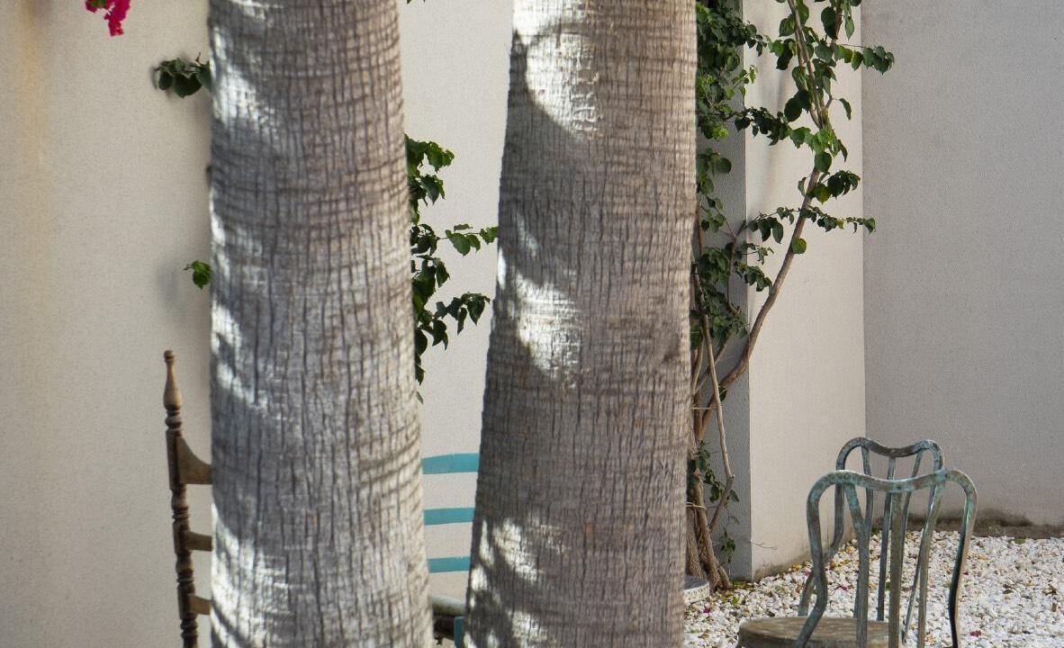 Photo of Patio Balcony in Sant Josep de sa Talaia