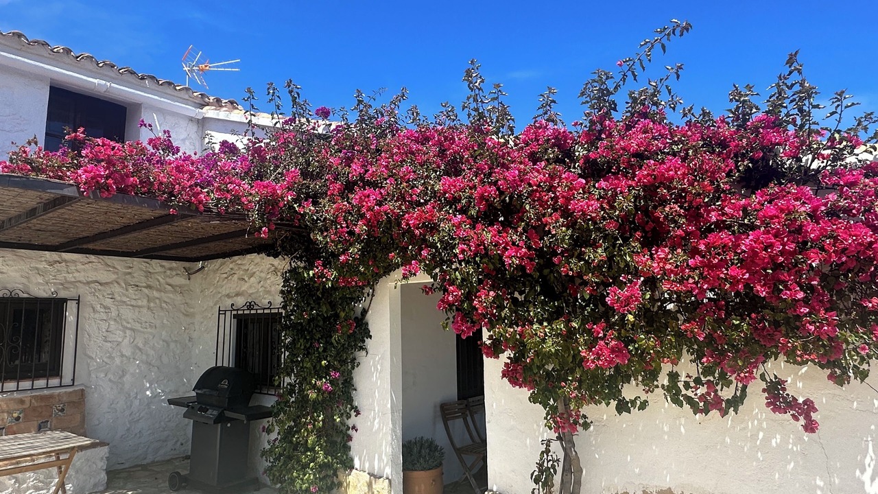 Photo of Patio Balcony in Benissa