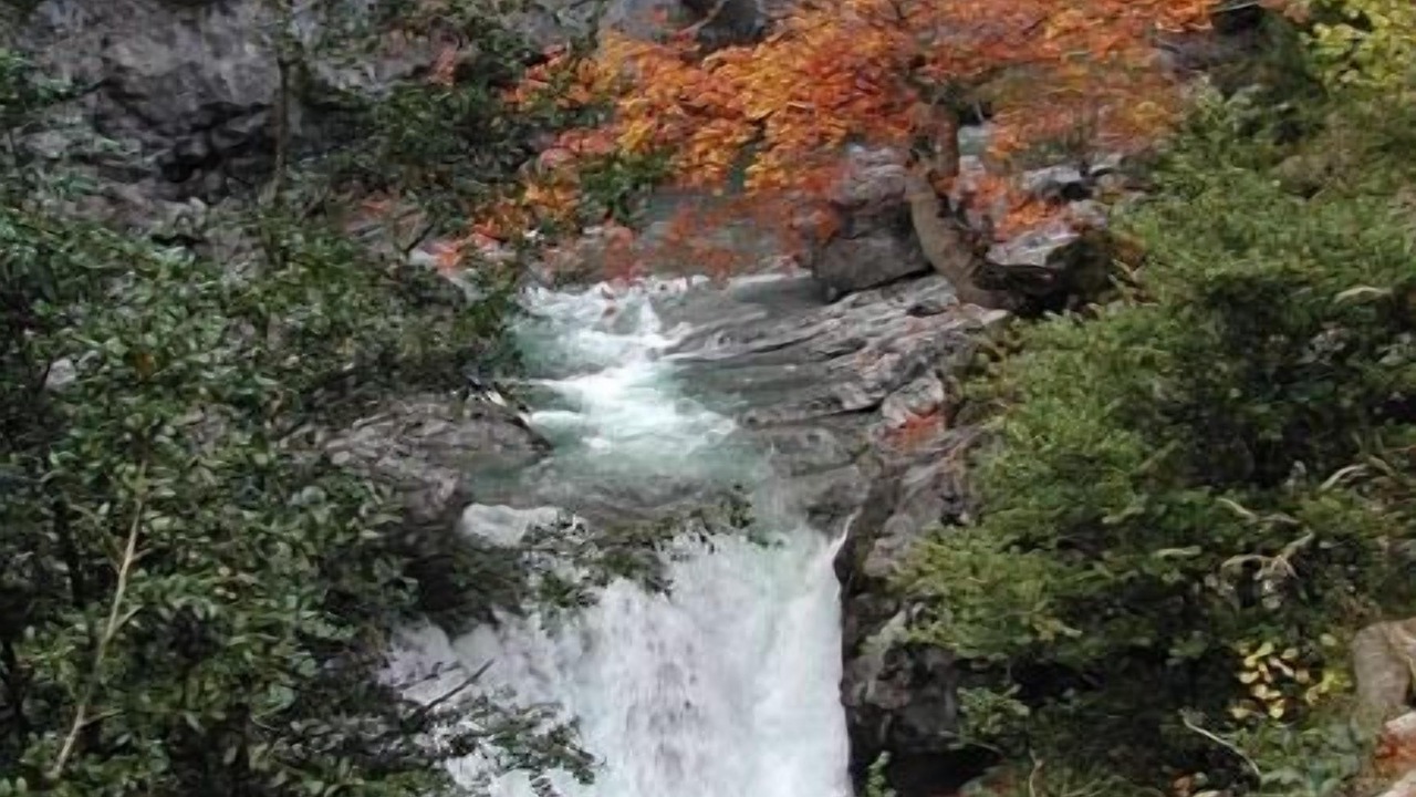 Photo of Outdoor in Escalona
