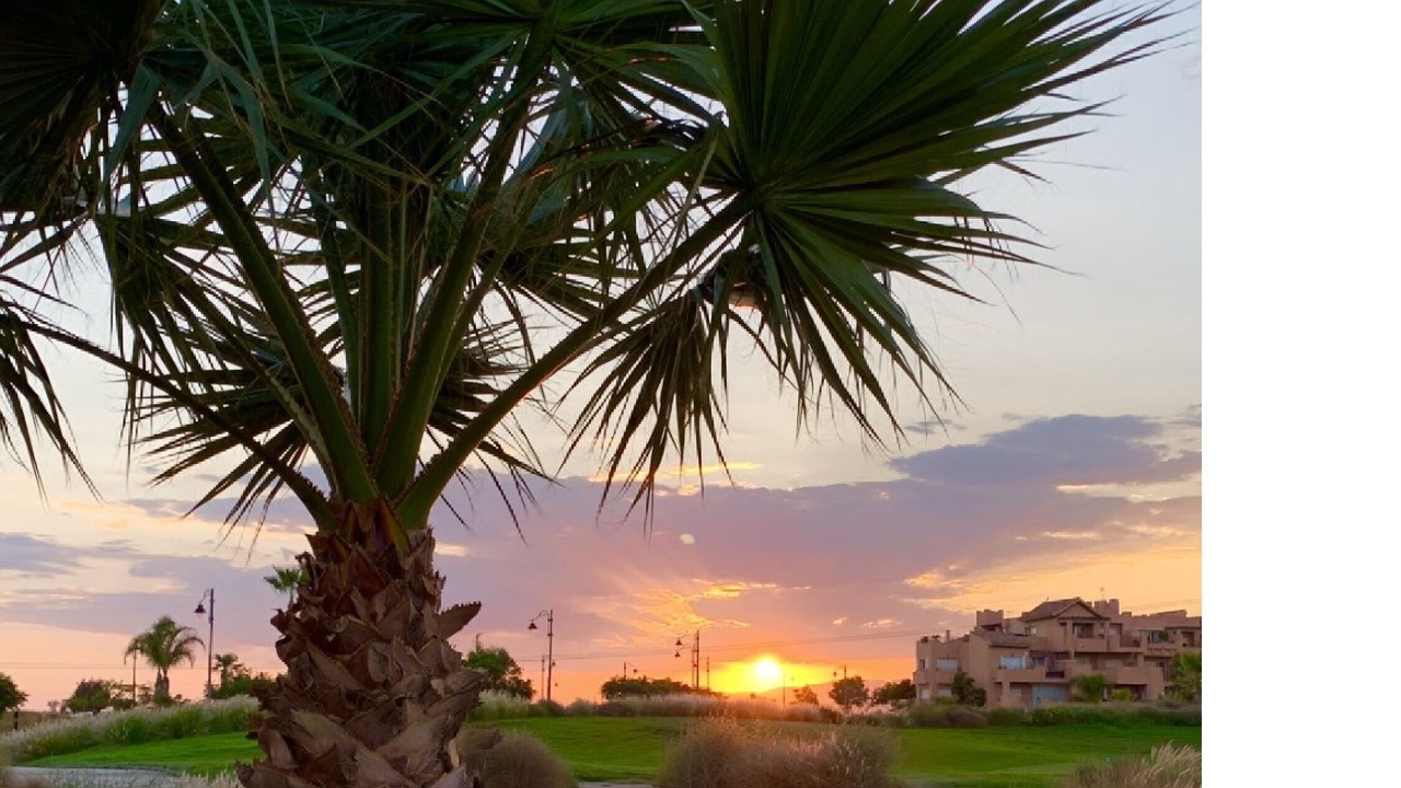 Photo of Others in Torre-Pacheco