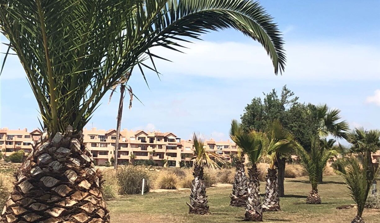 Photo of Others in Torre-Pacheco