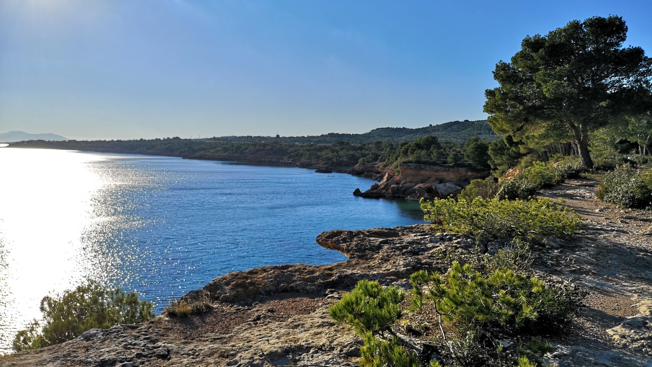 Photo of Others in Les Tres Cales