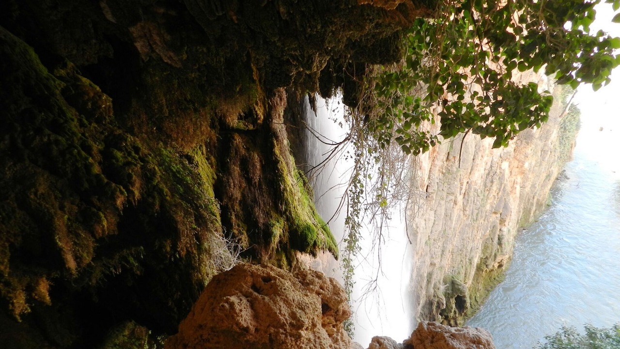 Photo of Others in Munebrega
