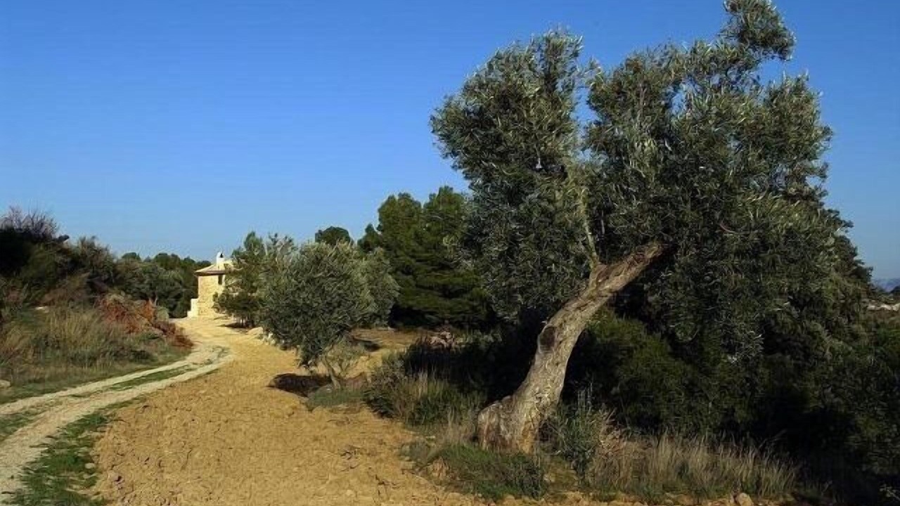 Photo of Outdoor in Valderrobres