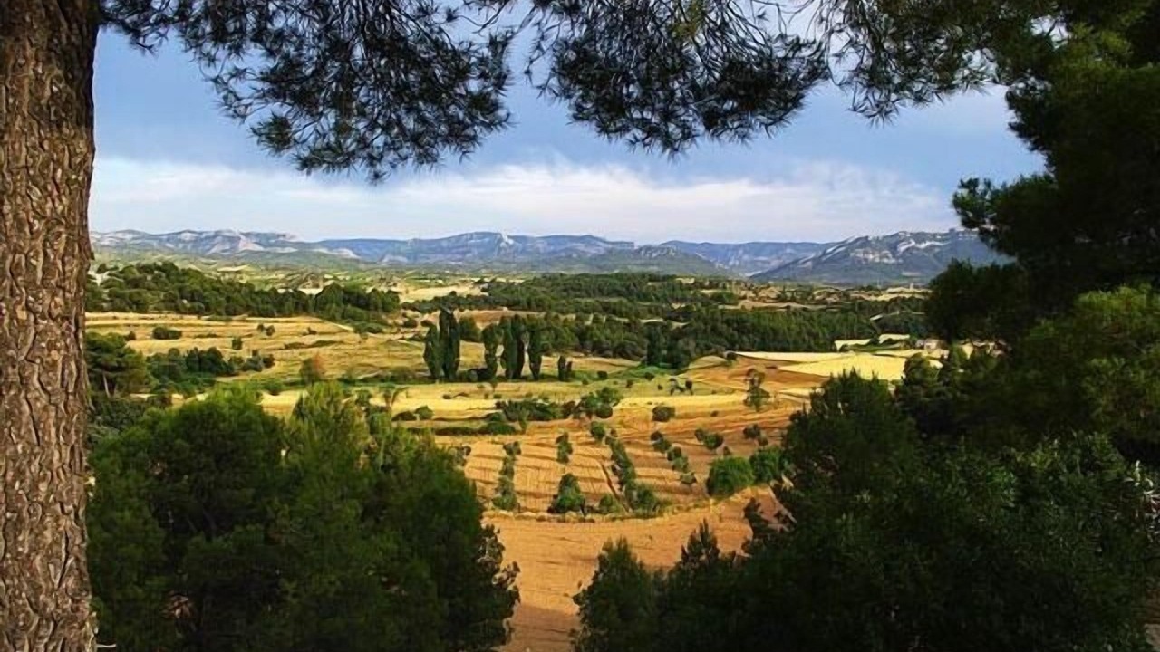 Photo of Outdoor in Valderrobres