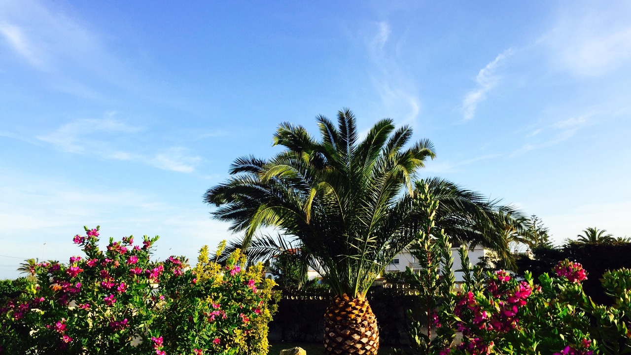 Photo of Outdoor in Vinaros