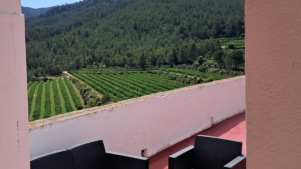 Photo of Patio Balcony in Tivissa
