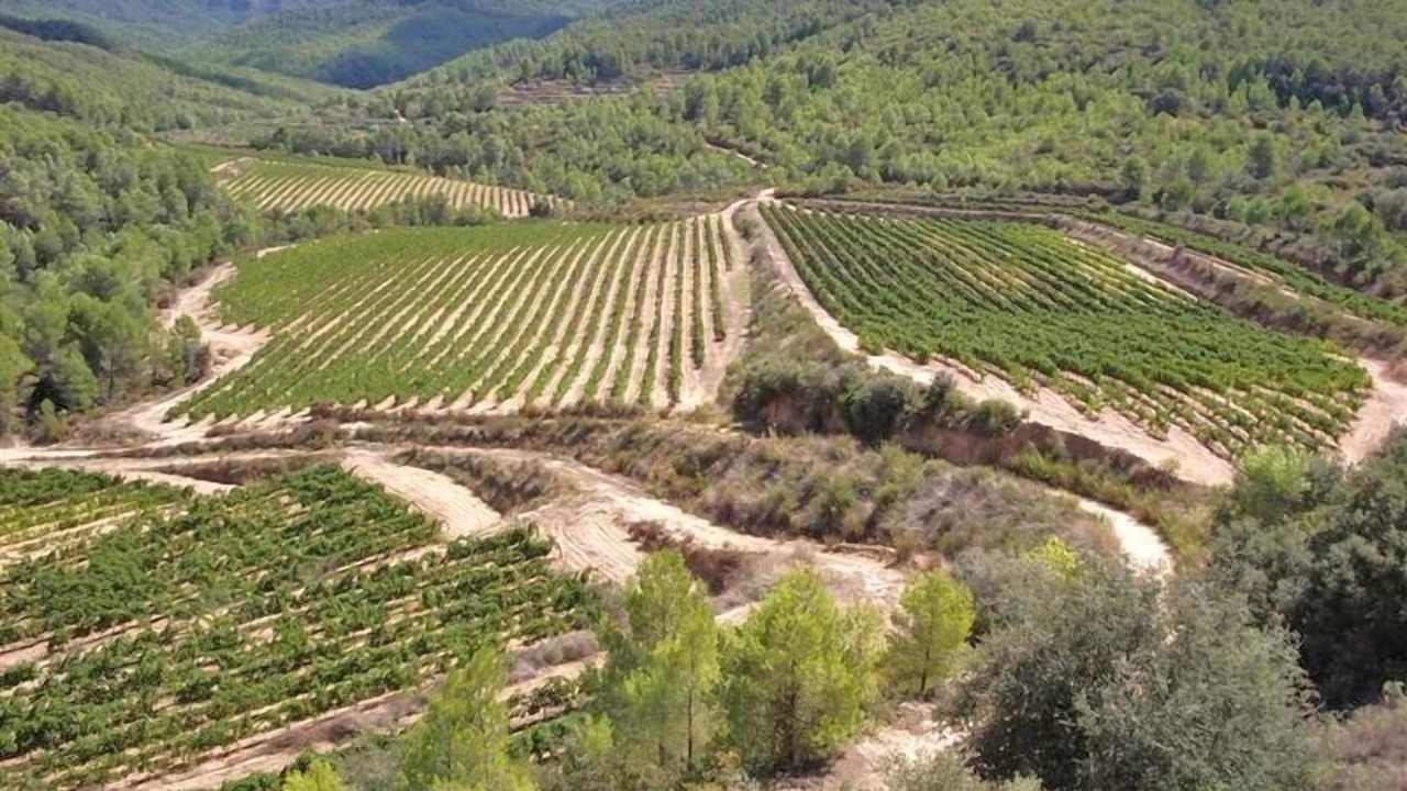 Photo of Others in Tivissa