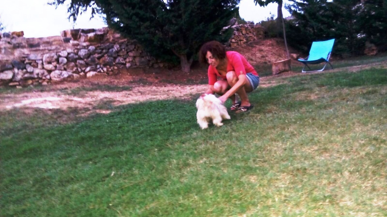 Photo of Outdoor in La Torre d'En Besora