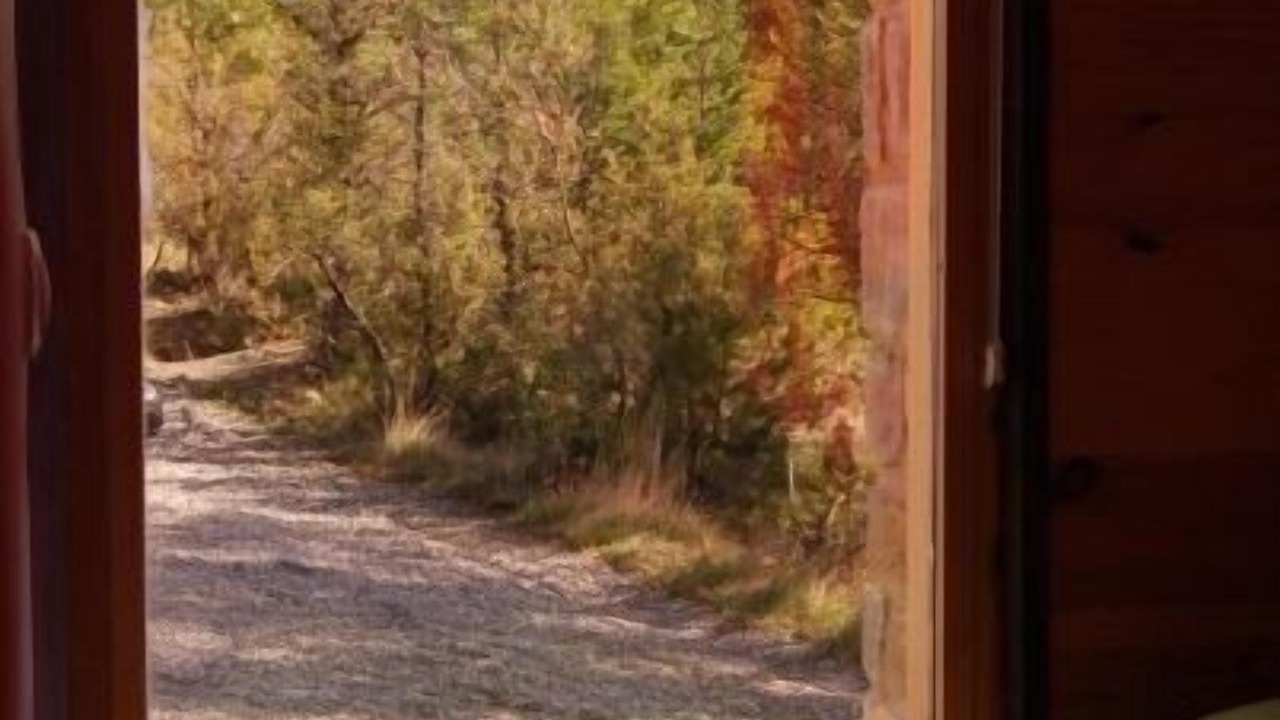 Photo of Bedroom in Ainsa-Sobrarbe