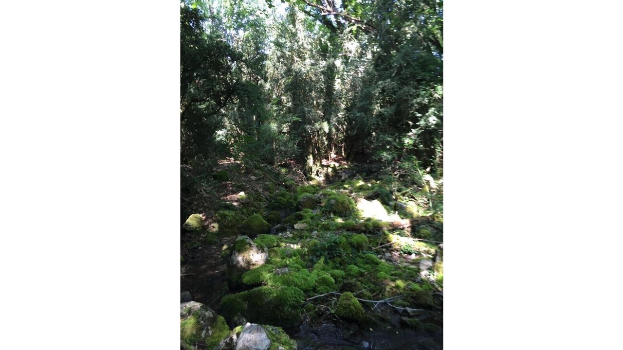Photo of Outdoor in Sarroca de Bellera