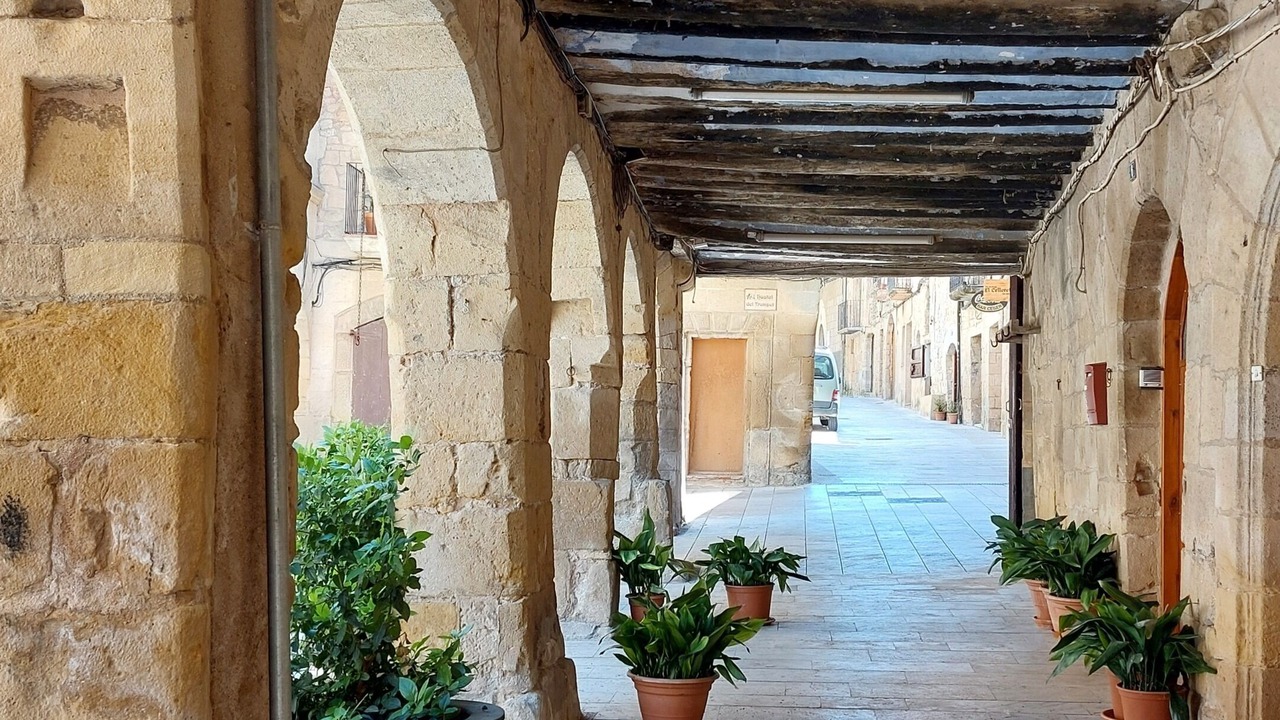 Photo of Outdoor in Horta de Sant Joan