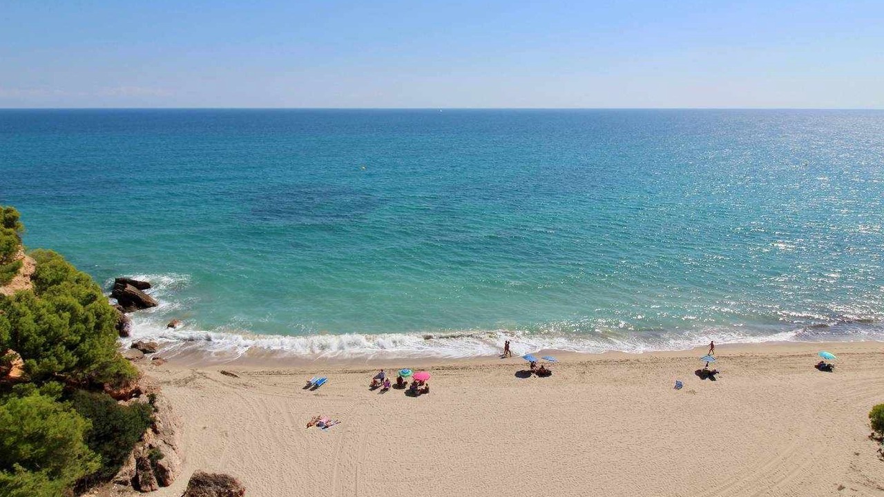 Photo of Others in Miami Platja