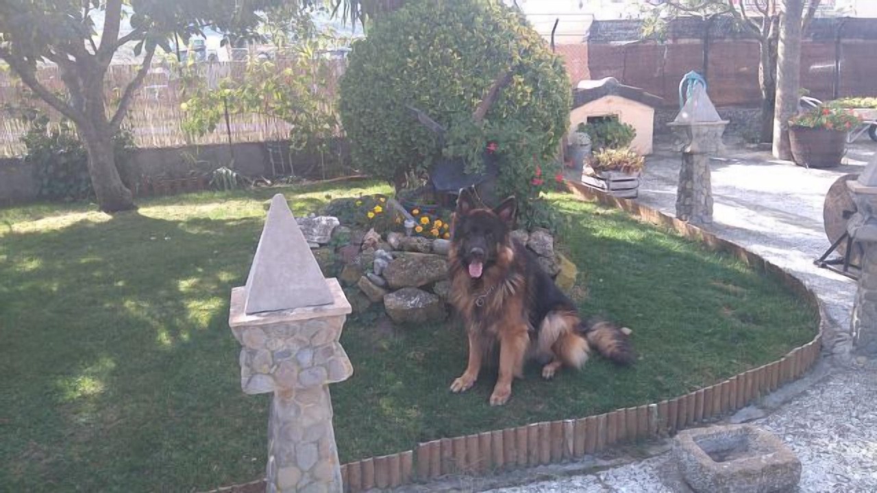 Photo of Outdoor in Santa Cilia
