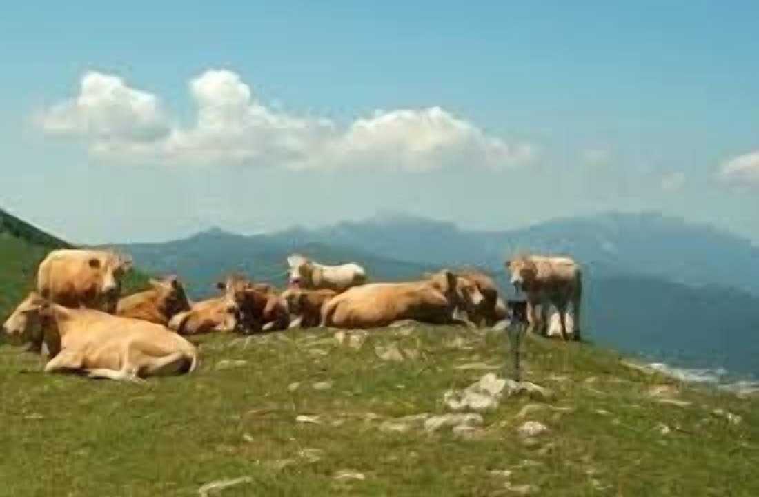Photo of Others in Torrano