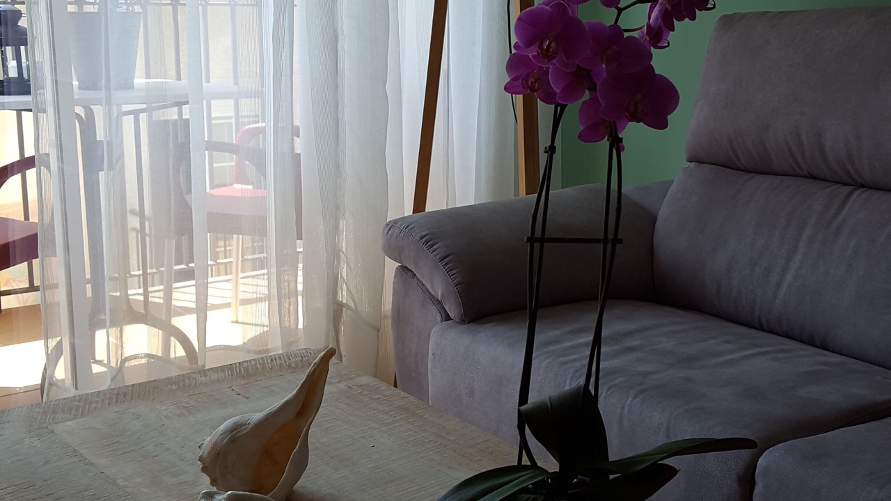 Photo of Livingroom in Calafell