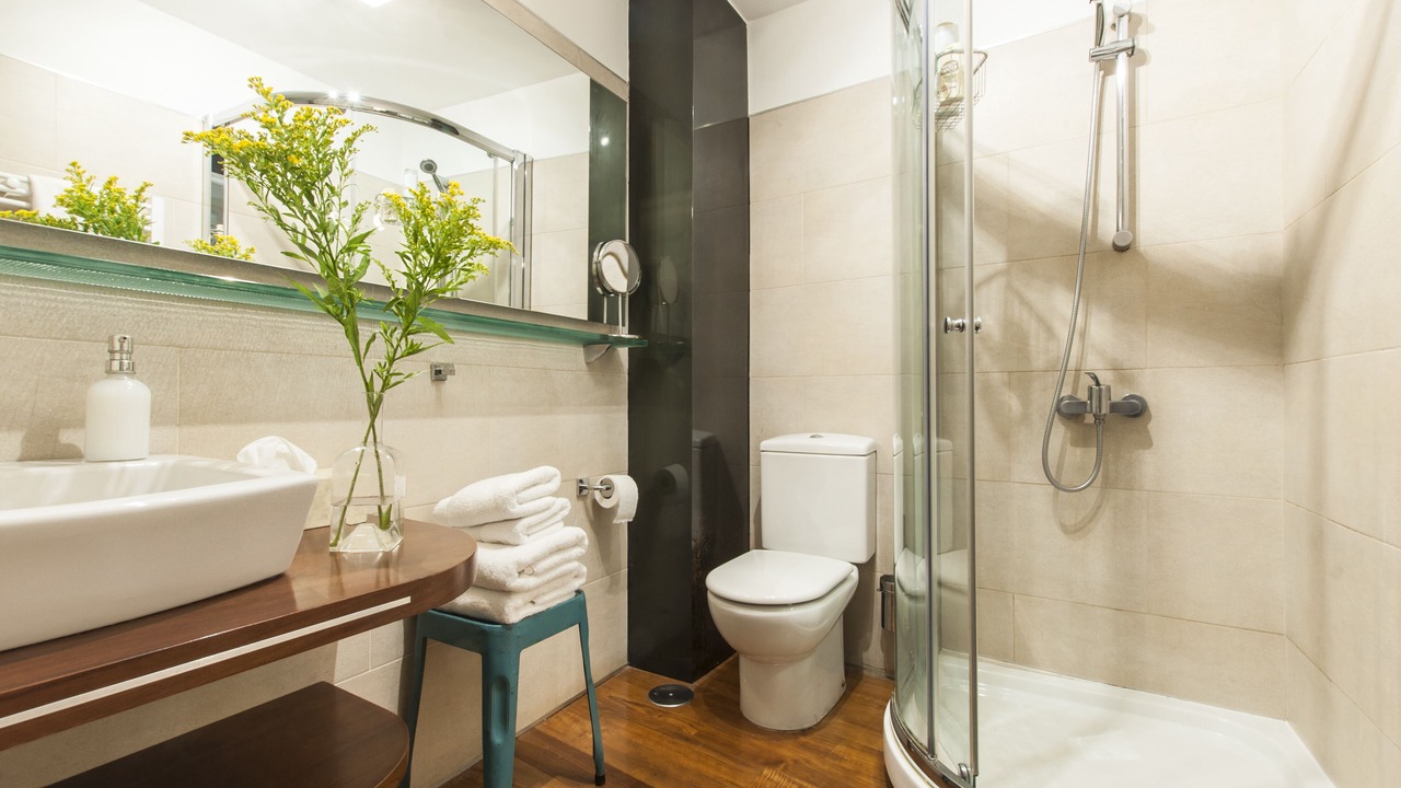 Photo of Bathroom in Huertas