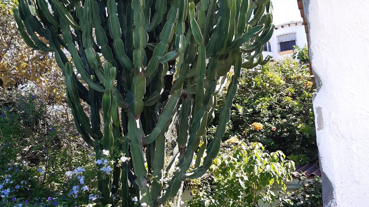 Photo of Outdoor in Monte Pego