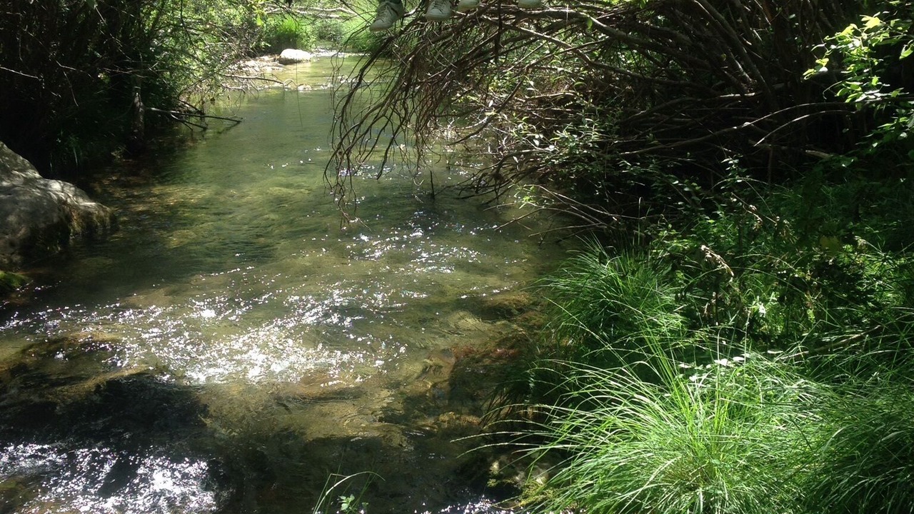 Photo of Outdoor in Puertomingalvo