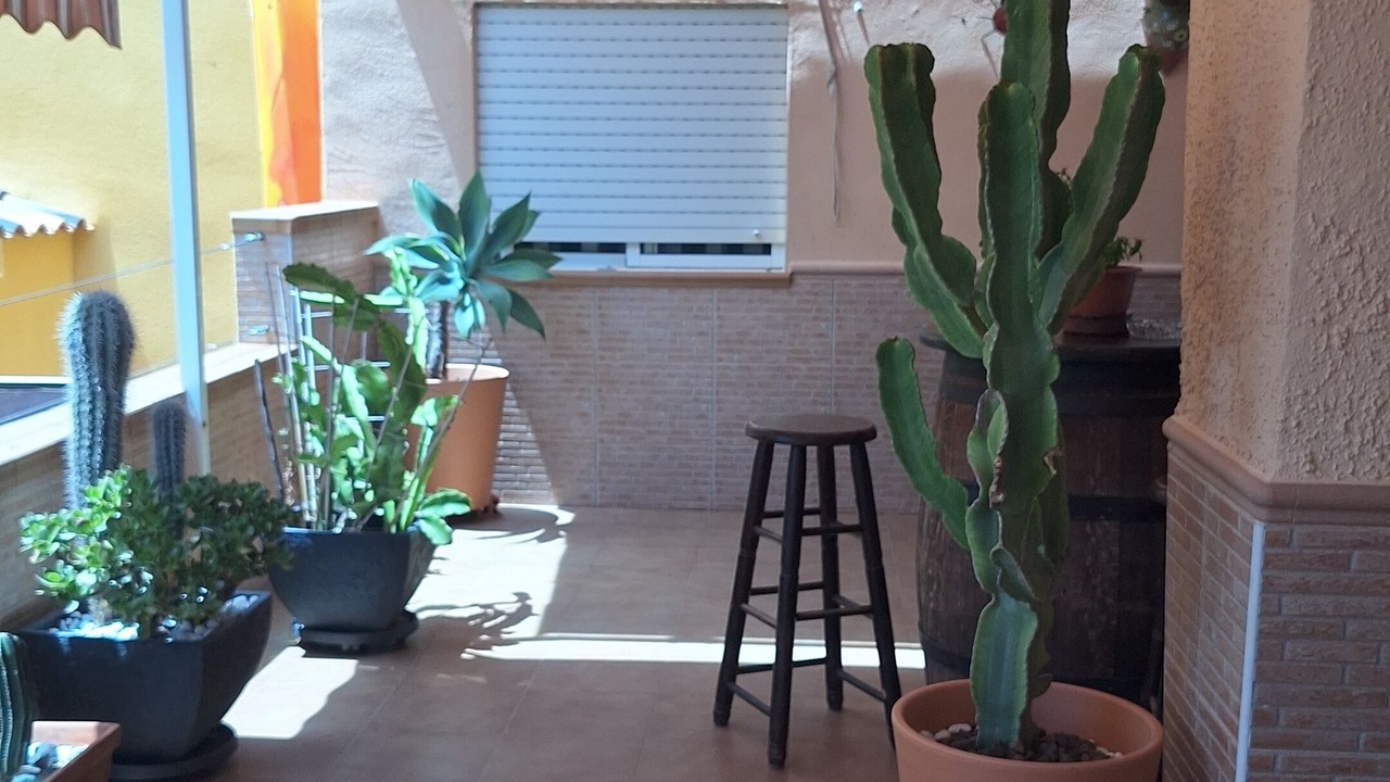Photo of Patio Balcony in Cabo de Palos