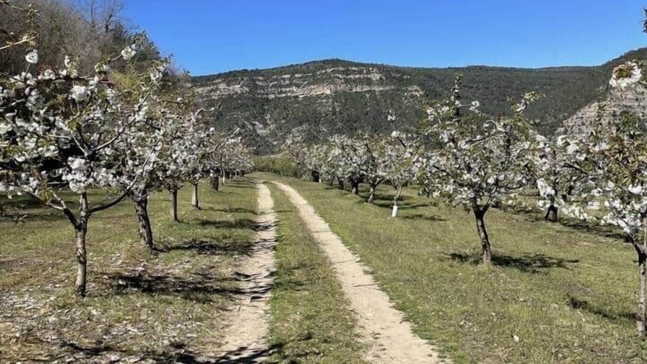 Photo of Others in Santa Liestra y San Quilez