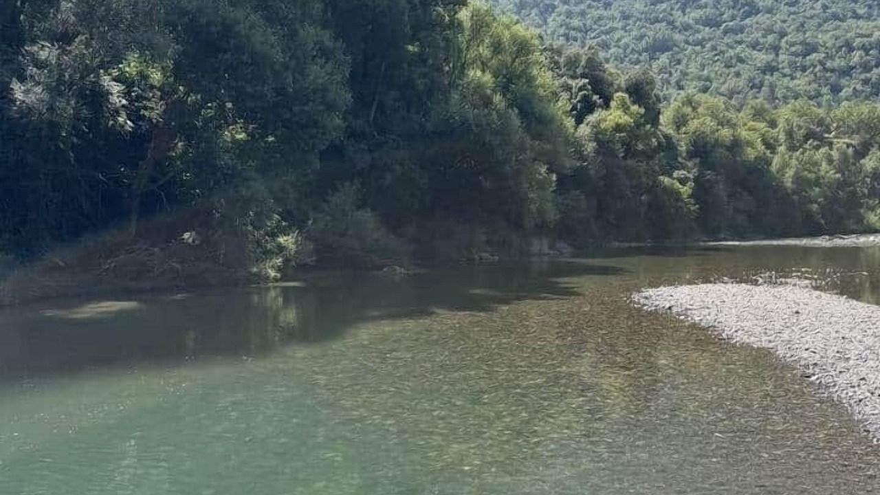 Photo of Others in Santa Liestra y San Quilez