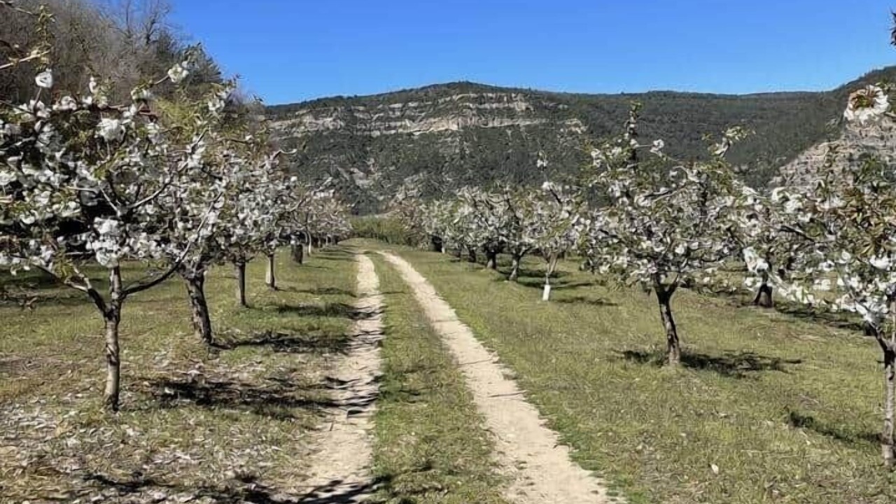 Photo of Others in Santa Liestra y San Quilez