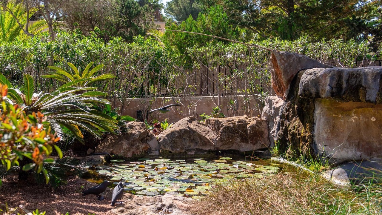 Photo of Outdoor in Santa Eulalia del Rio