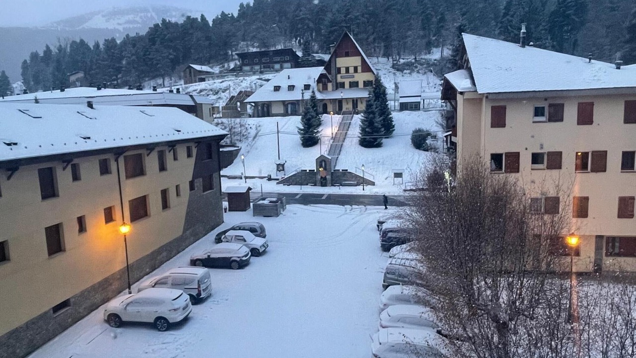 Photo of Others in La Molina