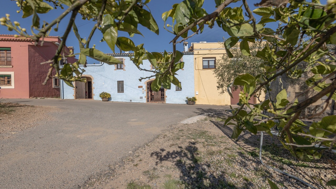Photo of Outdoor in Sant Jaume dels Domenys