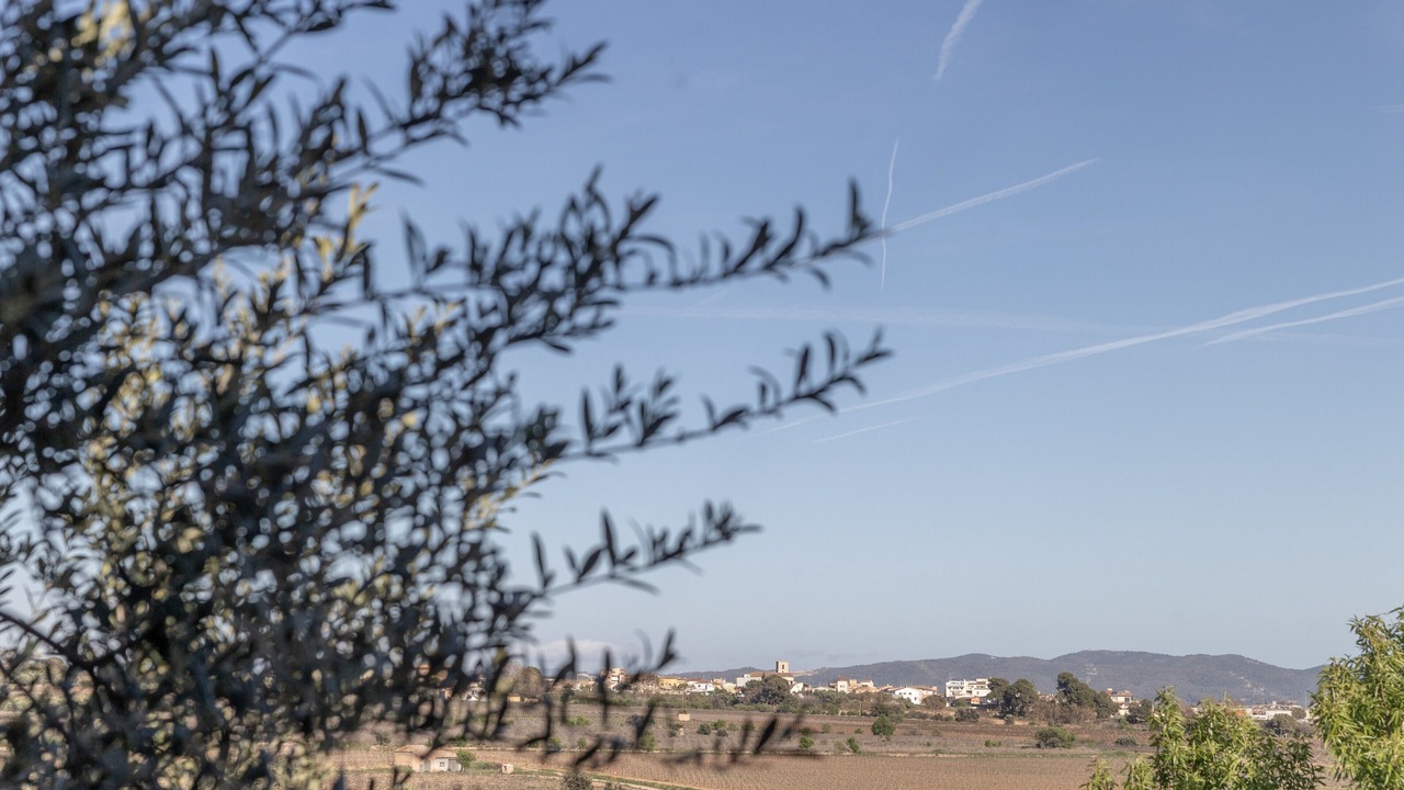 Photo of Others in Sant Jaume dels Domenys
