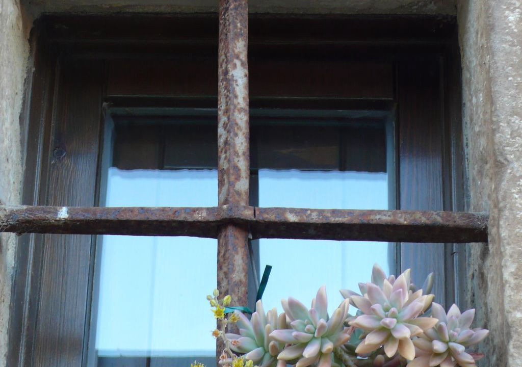 Photo of Others in Azuelo