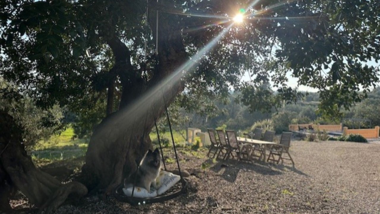 Photo of Outdoor in Calig
