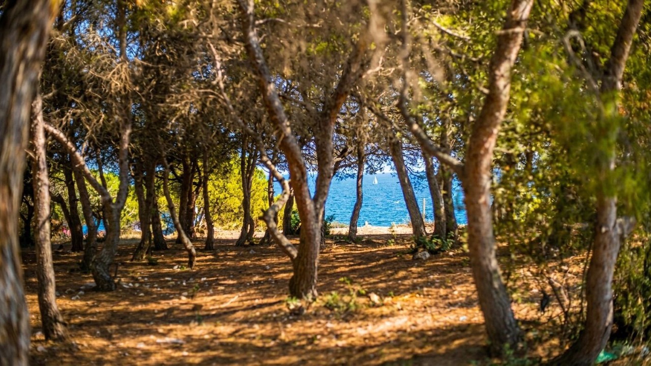 Photo of Others in Torredembarra