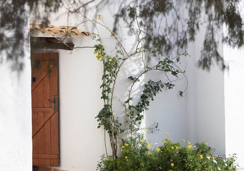 Photo of Outdoor in Sant Joan de Labritja