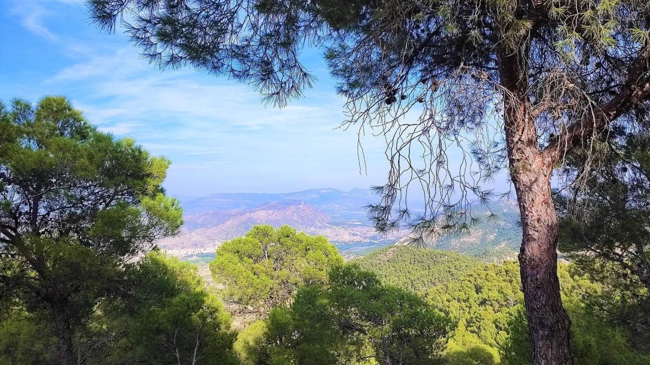Photo of Others in Huerta de Arriba