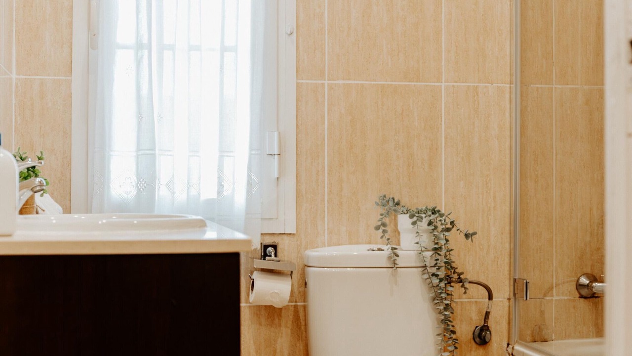 Photo of Bathroom in Logrono