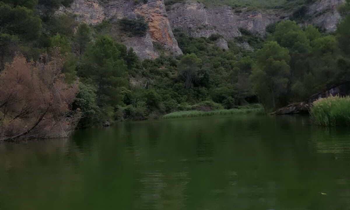Photo of Others in Albalate de Zorita