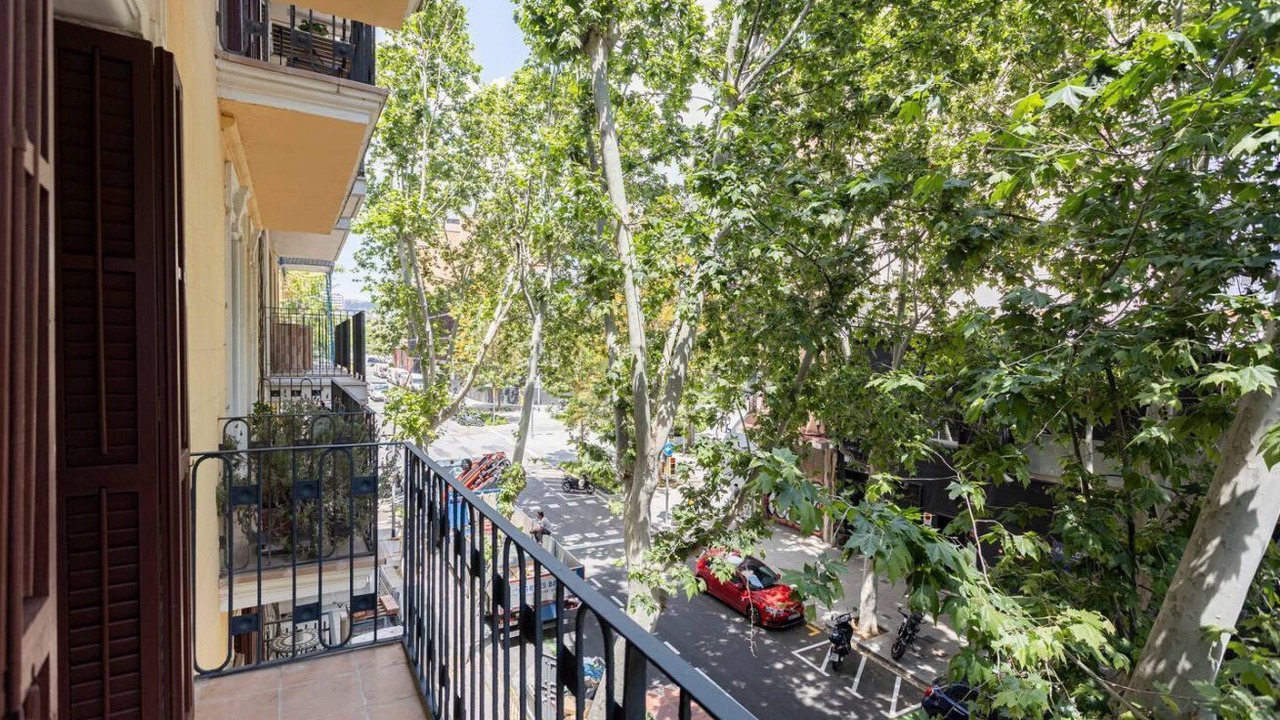 Photo of Outdoor in El Parc i la Llacuna del Poblenou
