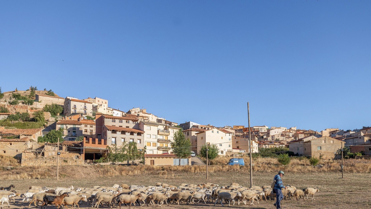 Photo of Others in Ejulve