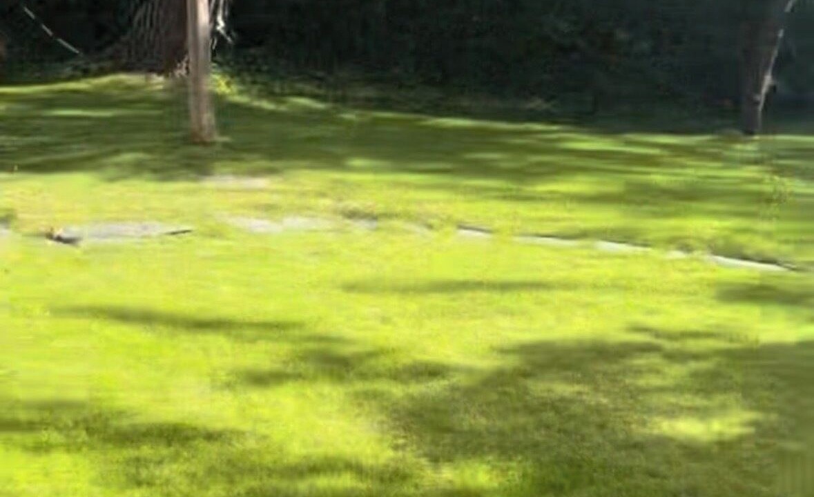 Photo of Outdoor in Las Rozas de Madrid