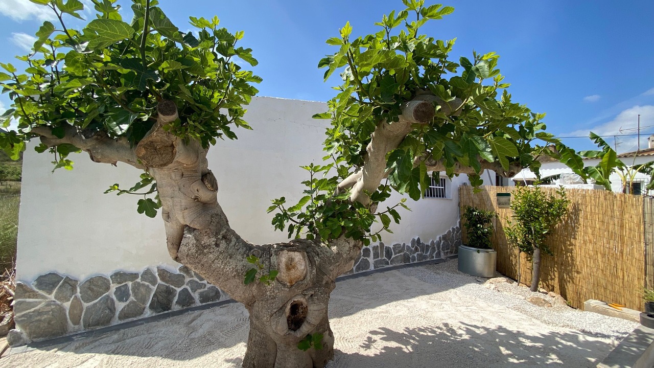 Photo of Outdoor in Campo Nubla