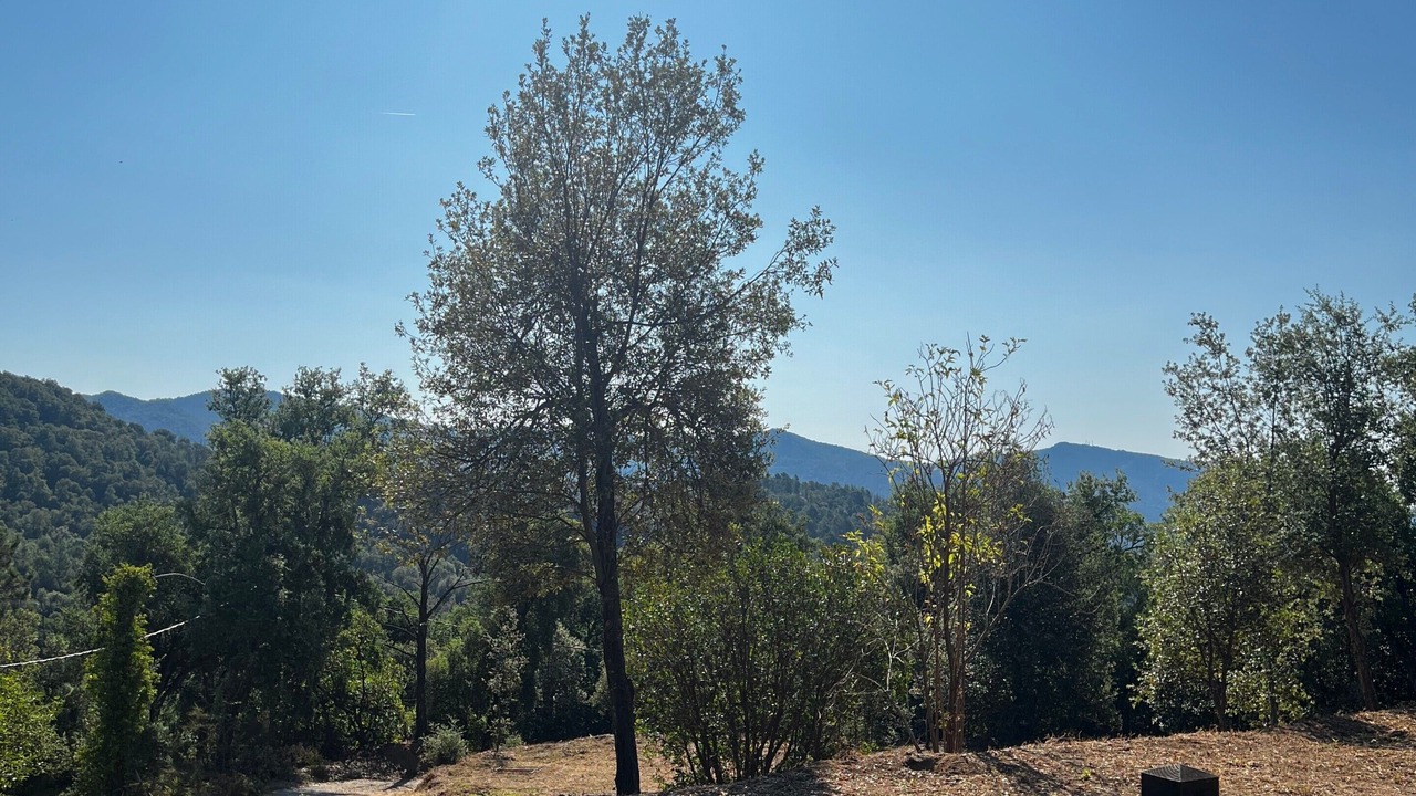 Photo of Outdoor in Arbucies