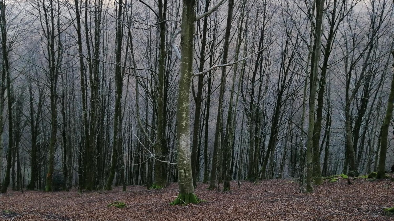 Photo of Others in Sumbilla