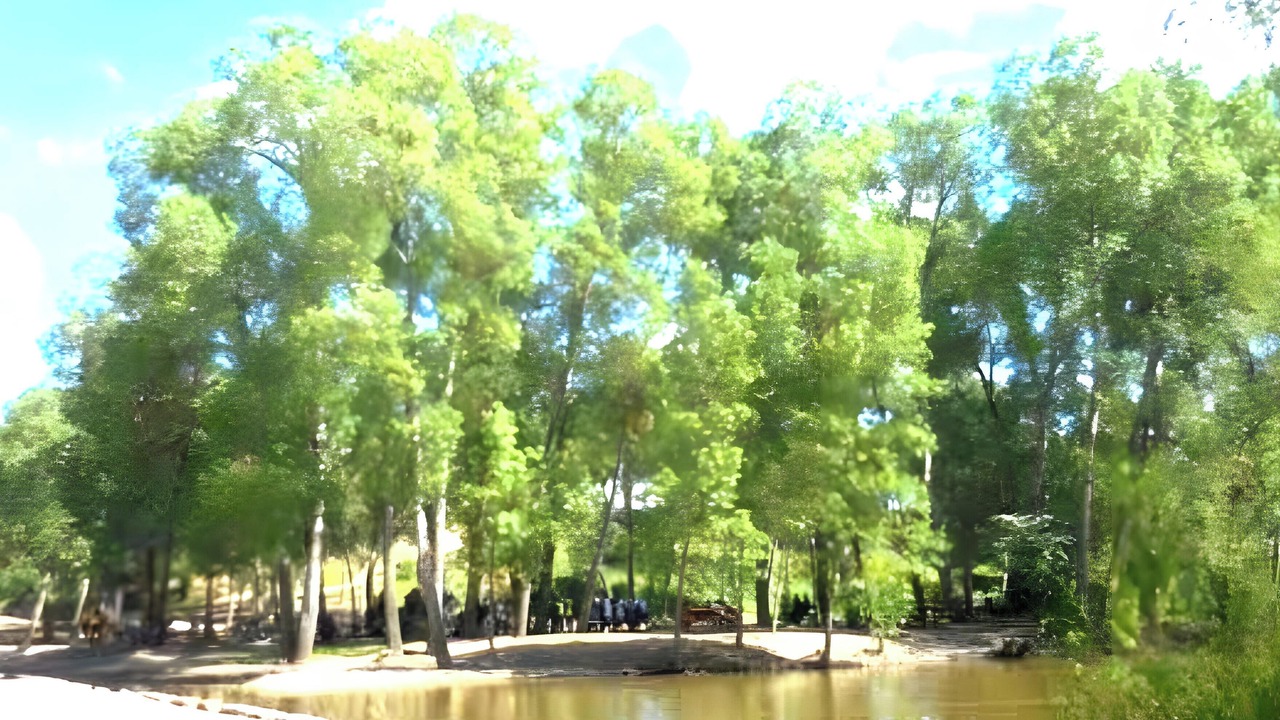Photo of Others in Matapozuelos