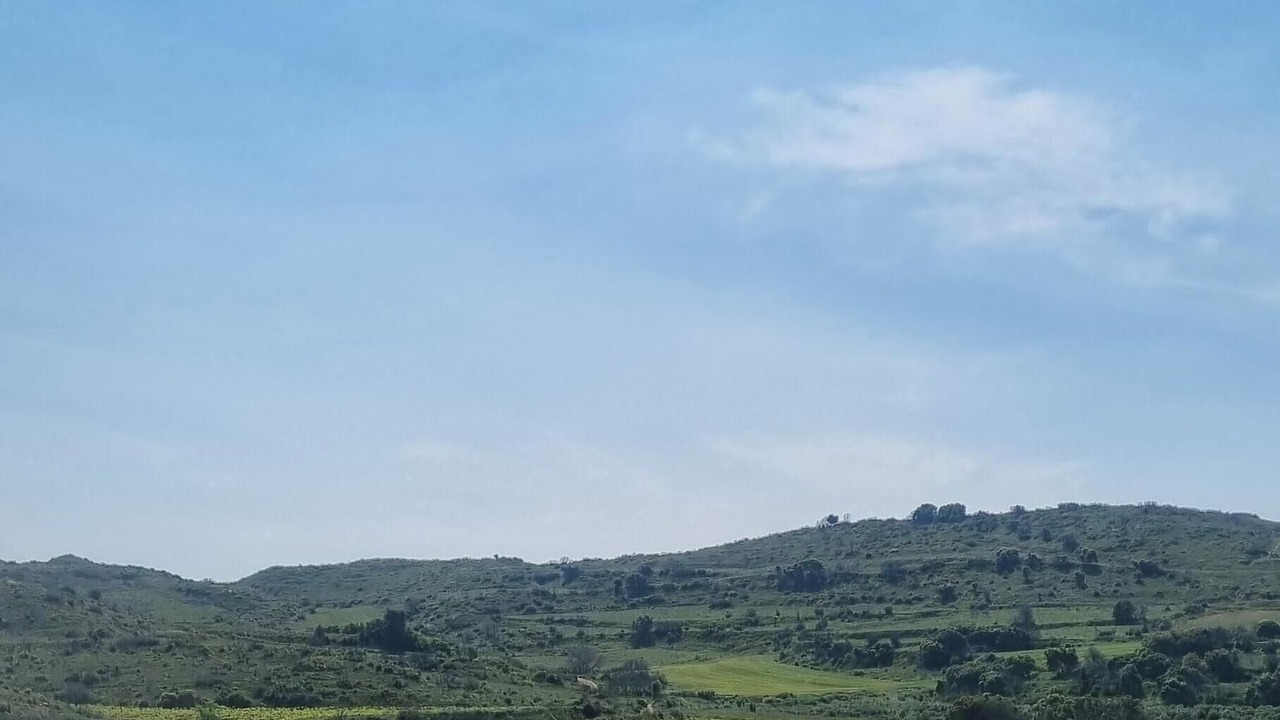 Photo of Others in San Martin de Unx