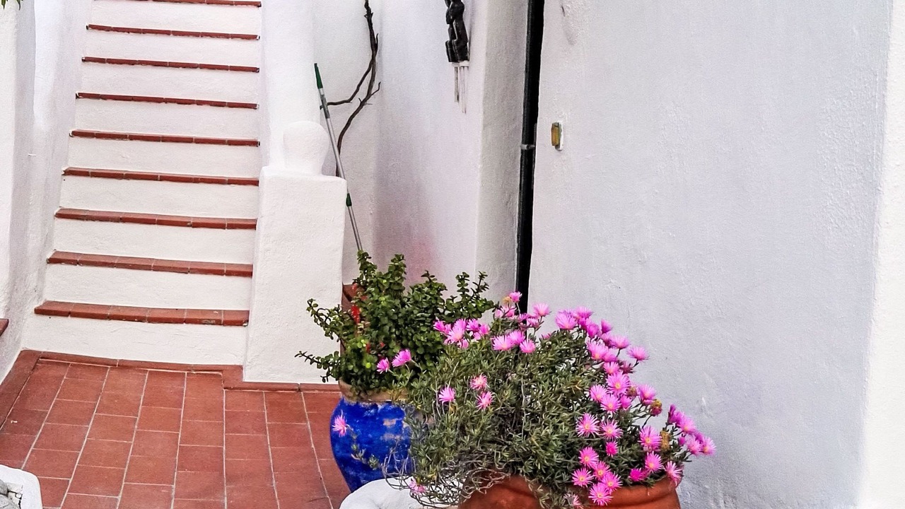 Photo of Others in Cala Vadella