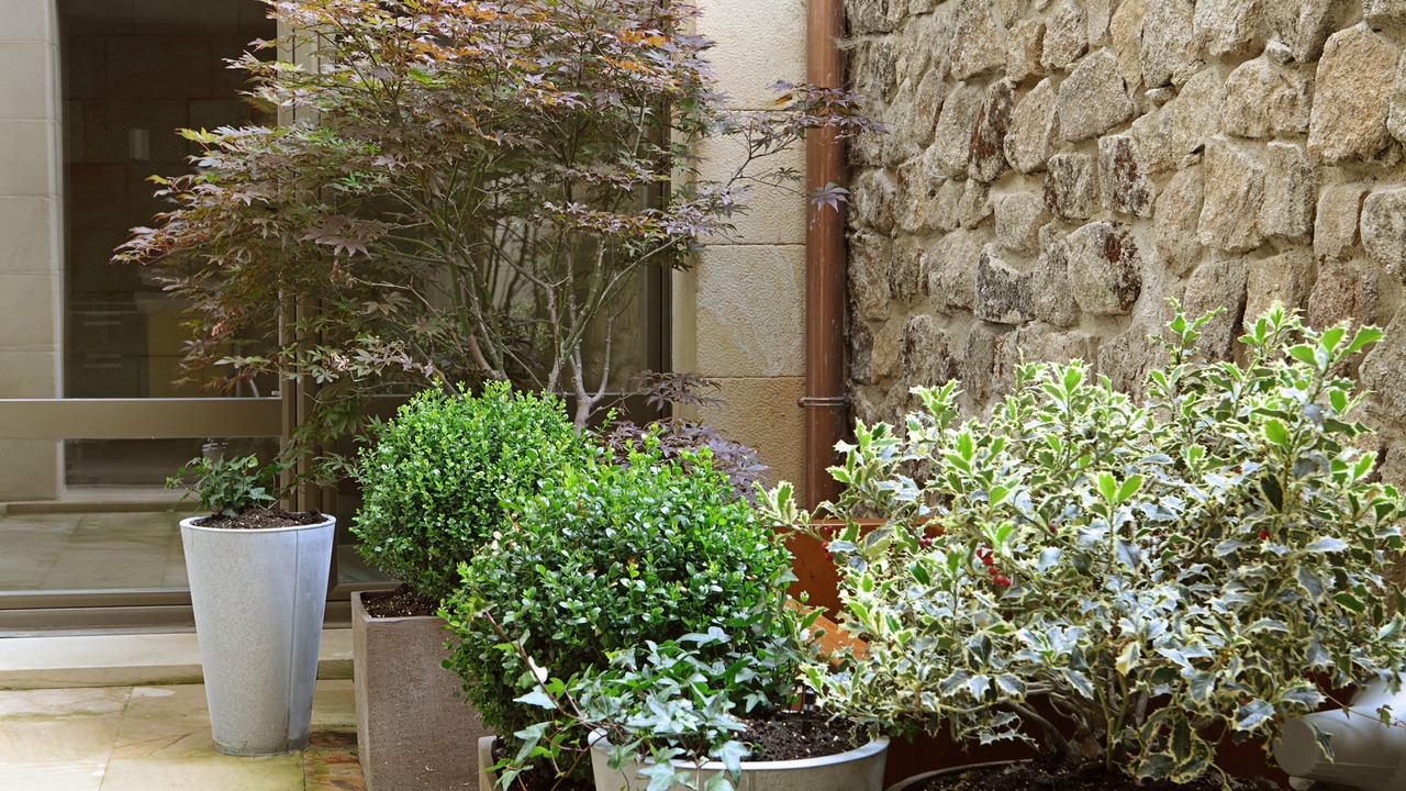 Photo of Outdoor in Santo Tome del Puerto