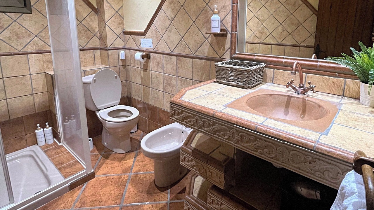 Photo of Bathroom in Riudecols