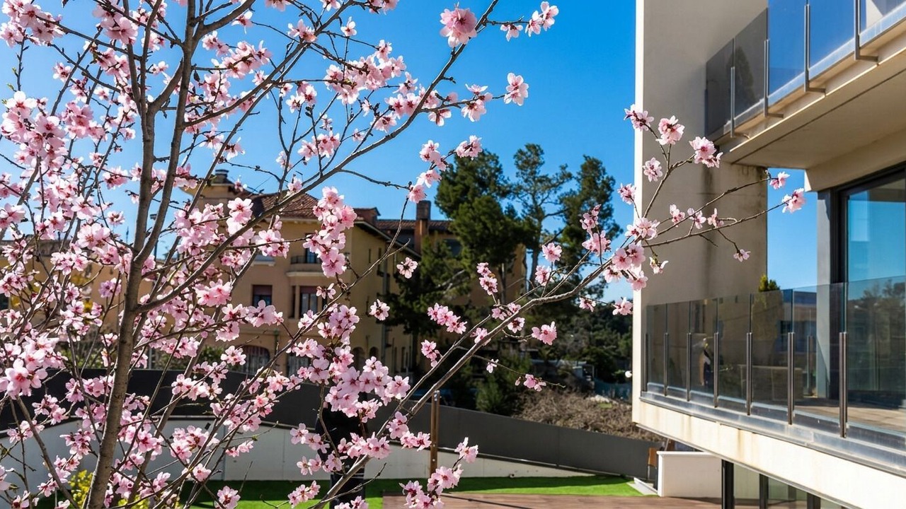 Photo of Outdoor in Sarria-Sant Gervasi